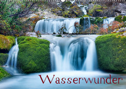 Wasserwunder (Wandkalender 2022 DIN A2 quer) von Thoma,  Herbert