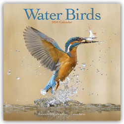 Water Birds – Wasservögel 2024 – 16-Monatskalender