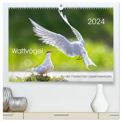 Wattvögel an der Friesischen IJsselmeerküste (hochwertiger Premium Wandkalender 2024 DIN A2 quer), Kunstdruck in Hochglanz von Will,  Thomas