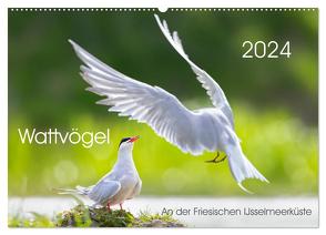 Wattvögel an der Friesischen IJsselmeerküste (Wandkalender 2024 DIN A2 quer), CALVENDO Monatskalender von Will,  Thomas