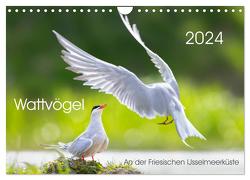 Wattvögel an der Friesischen IJsselmeerküste (Wandkalender 2024 DIN A4 quer), CALVENDO Monatskalender von Will,  Thomas