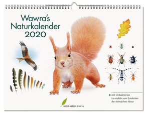 Wawra’s Naturkalender 2020 von Wawra,  Johannes, Wawra,  Ursula