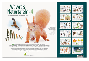 Wawra’s Naturtafeln – 4 von Wawra,  Johannes, Wawra,  Ursula