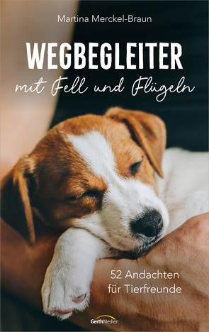 Wegbegleiter mit Fell und Flügeln von Merckel-Braun,  Martina