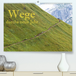 Wege durchs neue Jahr (Premium, hochwertiger DIN A2 Wandkalender 2023, Kunstdruck in Hochglanz) von Pfleger,  Hans