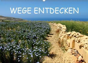 WEGE ENTDECKEN (Wandkalender 2019 DIN A2 quer) von Albilt,  Rabea