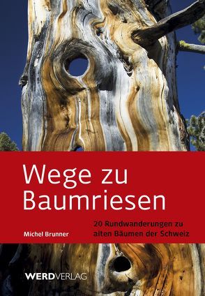 Wege zu Baumriesen von Brunner,  Michel