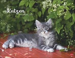 Wegler Katzenkalender 2022 von Heye, Wegler,  Monika