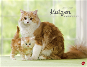 Wegler Katzenkalender Kalender 2021 von Heye, Wegler,  Monika