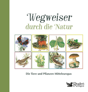 Wegweiser durch die Natur