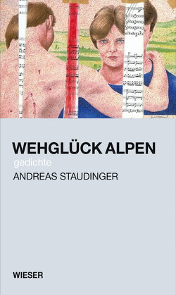 Wehglück Alpen von Staudinger,  Andreas
