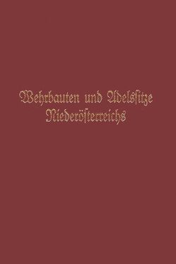 Wehrbauten und Adelssitze Niederösterreichs / Adelssitze und Wehrbauten Niederösterreichs von Kühtreiber,  Karin, Kühtreiber,  Thomas, Mochty-Weltin,  Christina, Weltin,  Maximilian, Woldron,  Ronald, Zehetmayer,  Alexandra, Zehetmayer,  Roman