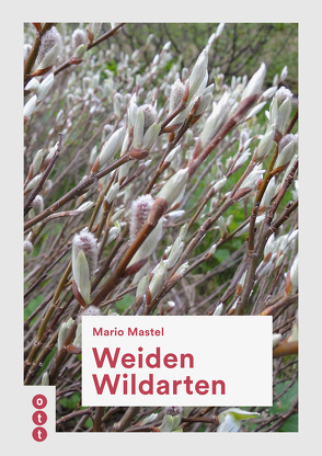 Weiden Wildarten von Mastel,  Mario