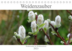 Weidenzauber (Tischkalender 2023 DIN A5 quer) von Friese,  Susanne