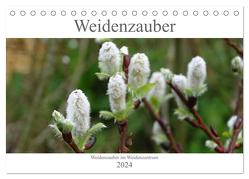 Weidenzauber (Tischkalender 2024 DIN A5 quer), CALVENDO Monatskalender von Friese,  Susanne