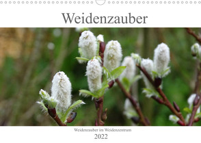 Weidenzauber (Wandkalender 2022 DIN A3 quer) von Friese,  Susanne