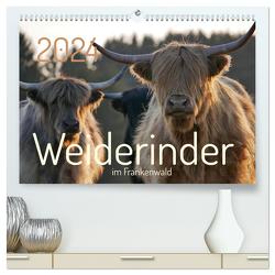 Weiderinder im Frankenwald (hochwertiger Premium Wandkalender 2024 DIN A2 quer), Kunstdruck in Hochglanz von Kelle-Dingel,  Cordula