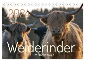 Weiderinder im Frankenwald (Tischkalender 2024 DIN A5 quer), CALVENDO Monatskalender von Kelle-Dingel,  Cordula