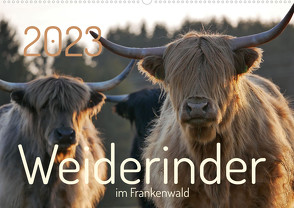Weiderinder im Frankenwald (Wandkalender 2023 DIN A2 quer) von Kelle-Dingel,  Cordula