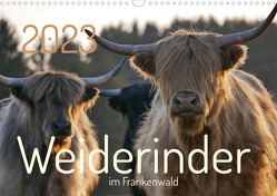 Weiderinder im Frankenwald (Wandkalender 2023 DIN A3 quer) von Kelle-Dingel,  Cordula