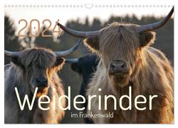 Weiderinder im Frankenwald (Wandkalender 2024 DIN A3 quer), CALVENDO Monatskalender von Kelle-Dingel,  Cordula