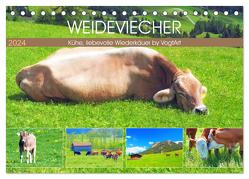 Weideviecher, Kühe liebevolle Wiederkäuer (Tischkalender 2024 DIN A5 quer), CALVENDO Monatskalender von VogtArt,  VogtArt