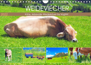 Weideviecher, Kühe liebevolle Wiederkäuer (Wandkalender 2022 DIN A4 quer) von VogtArt