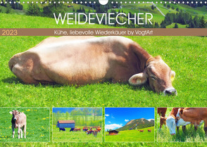 Weideviecher, Kühe liebevolle Wiederkäuer (Wandkalender 2023 DIN A3 quer) von VogtArt
