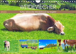 Weideviecher, Kühe liebevolle Wiederkäuer (Wandkalender 2023 DIN A4 quer) von VogtArt