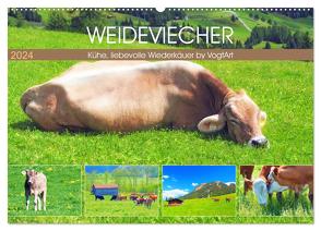 Weideviecher, Kühe liebevolle Wiederkäuer (Wandkalender 2024 DIN A2 quer), CALVENDO Monatskalender von VogtArt,  VogtArt
