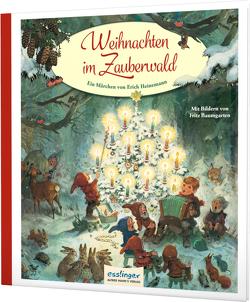 Weihnachten im Zauberwald von Baumgarten,  Fritz, Heinemann,  Erich