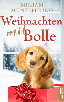 Weihnachten mit Bolle von Müntefering,  Mirjam