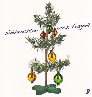 Weihnachten – noch Fragen? von Butterweck,  Dagmar, Pallestrang,  Kathrin, Witzmann,  Nora