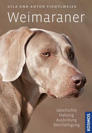 Weimaraner von Fichtlmeier,  Anton, Fichtlmeier,  Gila