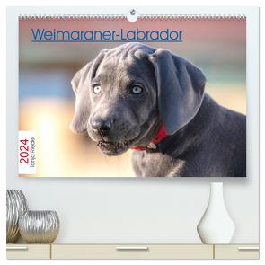 Weimaraner-Labrador (hochwertiger Premium Wandkalender 2024 DIN A2 quer), Kunstdruck in Hochglanz von Riedel,  Tanja