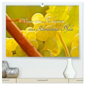 Wein- und Rebsorten aus Rheinland-Pfalz (hochwertiger Premium Wandkalender 2024 DIN A2 quer), Kunstdruck in Hochglanz von Eberlein,  Markus Kärcher,  Andreas