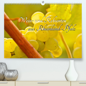 Wein- und Rebsorten aus Rheinland-Pfalz (Premium, hochwertiger DIN A2 Wandkalender 2020, Kunstdruck in Hochglanz) von Eberlein,  Andreas, Kärcher,  Markus