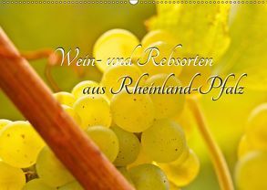 Wein- und Rebsorten aus Rheinland-Pfalz (Wandkalender 2019 DIN A2 quer) von Eberlein,  Andreas, Kärcher,  Markus