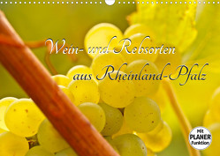 Wein- und Rebsorten aus Rheinland-Pfalz (Wandkalender 2023 DIN A3 quer) von Eberlein,  Andreas, Kärcher,  Markus