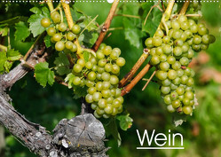 Wein (Wandkalender 2023 DIN A2 quer) von Jäger,  Anette/Thomas