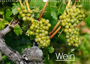 Wein (Wandkalender 2023 DIN A3 quer) von Jäger,  Anette/Thomas