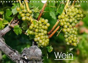 Wein (Wandkalender 2023 DIN A4 quer) von Jäger,  Anette/Thomas