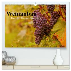 Weinanbau. Von der Traube zum Wein (hochwertiger Premium Wandkalender 2024 DIN A2 quer), Kunstdruck in Hochglanz von Stanzer,  Elisabeth