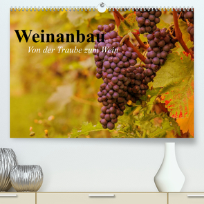 Weinanbau. Von der Traube zum Wein (Premium, hochwertiger DIN A2 Wandkalender 2023, Kunstdruck in Hochglanz) von Stanzer,  Elisabeth