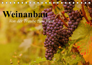 Weinanbau. Von der Traube zum Wein (Tischkalender 2023 DIN A5 quer) von Stanzer,  Elisabeth