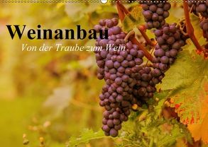 Weinanbau. Von der Traube zum Wein (Wandkalender 2018 DIN A2 quer) von Stanzer,  Elisabeth