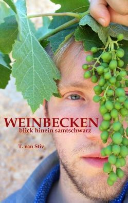 Weinbecken von Stiv,  T. van