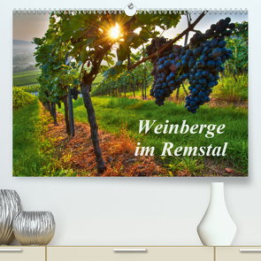 Weinberge im Remstal (Premium, hochwertiger DIN A2 Wandkalender 2021, Kunstdruck in Hochglanz) von Schmidt,  Bernd