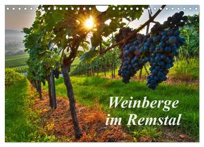 Weinberge im Remstal (Wandkalender 2024 DIN A4 quer), CALVENDO Monatskalender von Schmidt,  Bernd