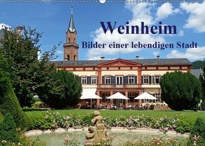 Weinheim – Bilder einer lebendigen Stadt (Wandkalender 2019 DIN A2 quer) von Andersen,  Ilona